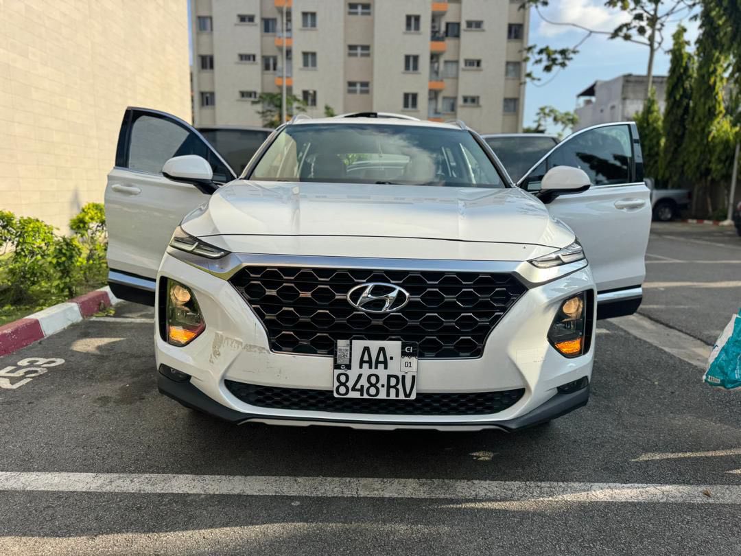 Toyota Hyundai SANTAFEE 04